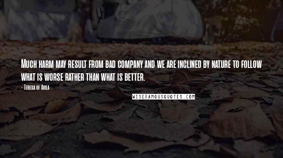 Teresa Of Avila Quotes: Much harm may result from bad company and we are inclined by nature to follow what is worse rather than what is better.