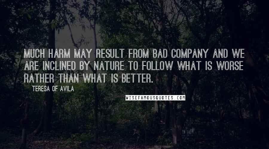 Teresa Of Avila Quotes: Much harm may result from bad company and we are inclined by nature to follow what is worse rather than what is better.