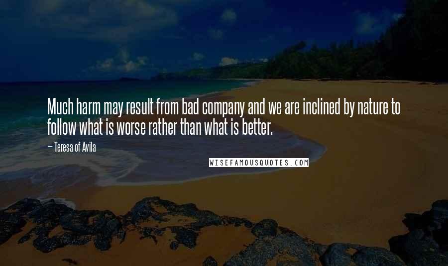 Teresa Of Avila Quotes: Much harm may result from bad company and we are inclined by nature to follow what is worse rather than what is better.