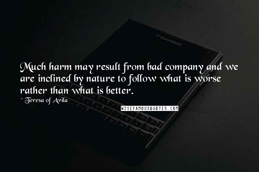 Teresa Of Avila Quotes: Much harm may result from bad company and we are inclined by nature to follow what is worse rather than what is better.