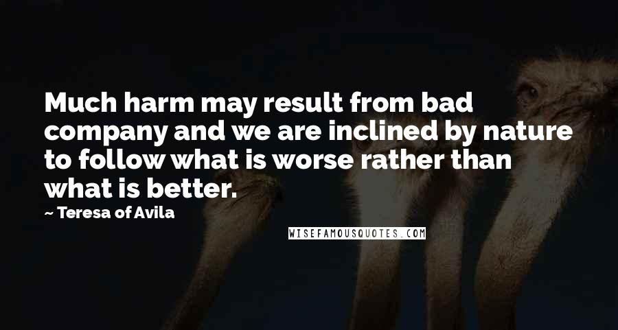 Teresa Of Avila Quotes: Much harm may result from bad company and we are inclined by nature to follow what is worse rather than what is better.