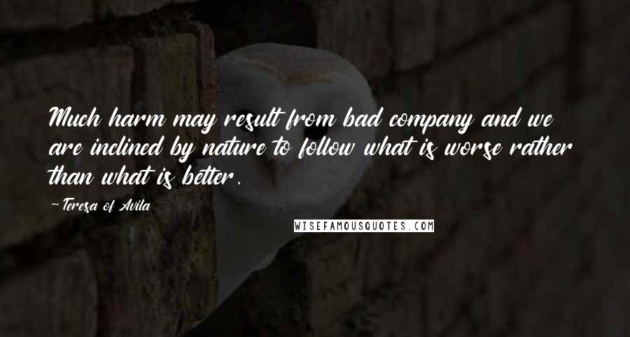 Teresa Of Avila Quotes: Much harm may result from bad company and we are inclined by nature to follow what is worse rather than what is better.