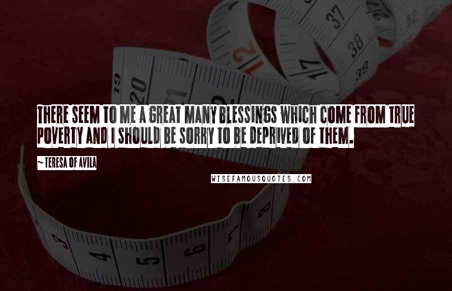 Teresa Of Avila Quotes: There seem to me a great many blessings which come from true poverty and I should be sorry to be deprived of them.