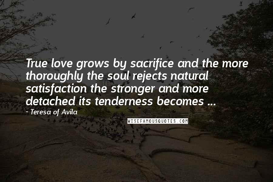 Teresa Of Avila Quotes: True love grows by sacrifice and the more thoroughly the soul rejects natural satisfaction the stronger and more detached its tenderness becomes ...