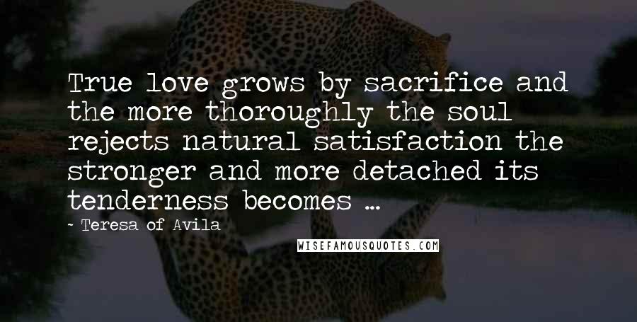 Teresa Of Avila Quotes: True love grows by sacrifice and the more thoroughly the soul rejects natural satisfaction the stronger and more detached its tenderness becomes ...
