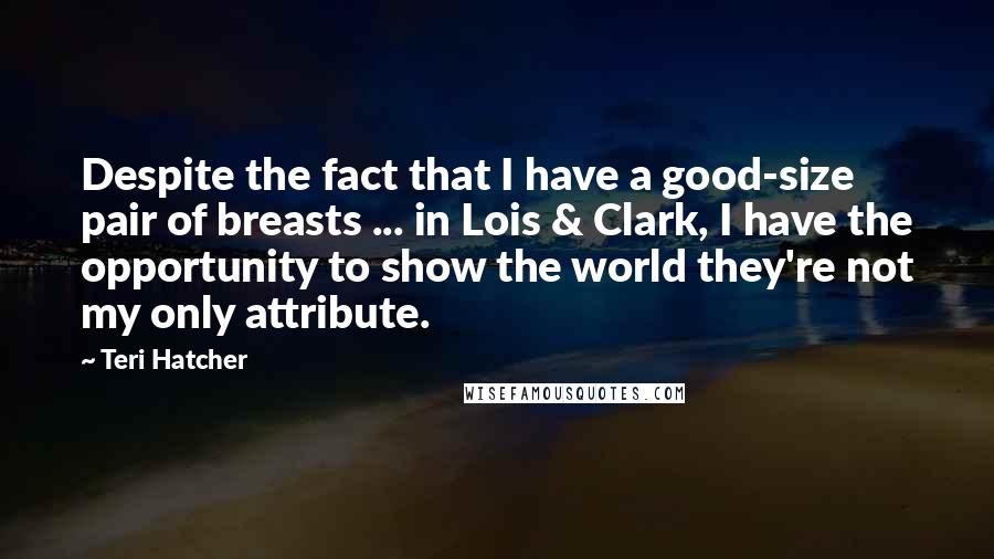 Teri Hatcher Quotes: Despite the fact that I have a good-size pair of breasts ... in Lois & Clark, I have the opportunity to show the world they're not my only attribute.