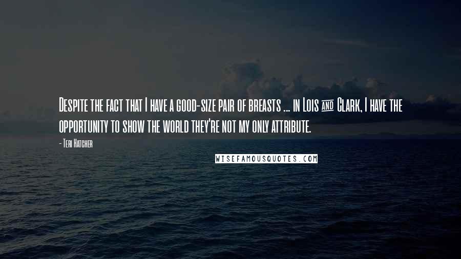 Teri Hatcher Quotes: Despite the fact that I have a good-size pair of breasts ... in Lois & Clark, I have the opportunity to show the world they're not my only attribute.