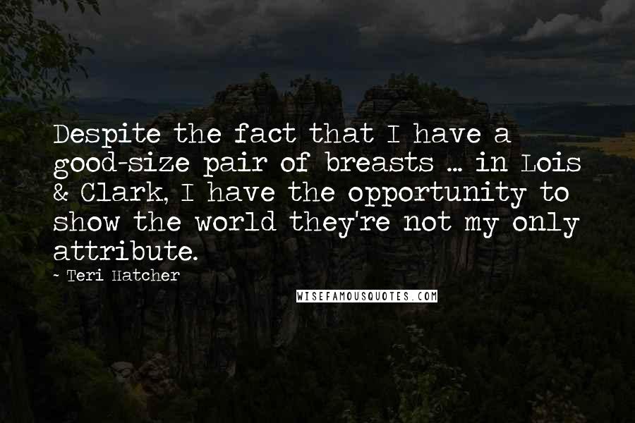 Teri Hatcher Quotes: Despite the fact that I have a good-size pair of breasts ... in Lois & Clark, I have the opportunity to show the world they're not my only attribute.