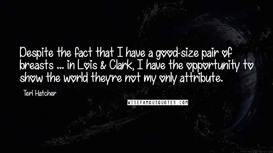 Teri Hatcher Quotes: Despite the fact that I have a good-size pair of breasts ... in Lois & Clark, I have the opportunity to show the world they're not my only attribute.