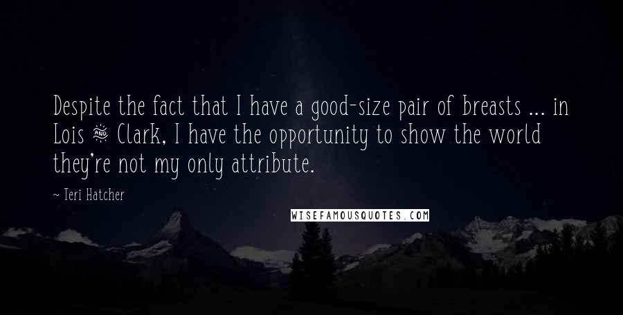 Teri Hatcher Quotes: Despite the fact that I have a good-size pair of breasts ... in Lois & Clark, I have the opportunity to show the world they're not my only attribute.