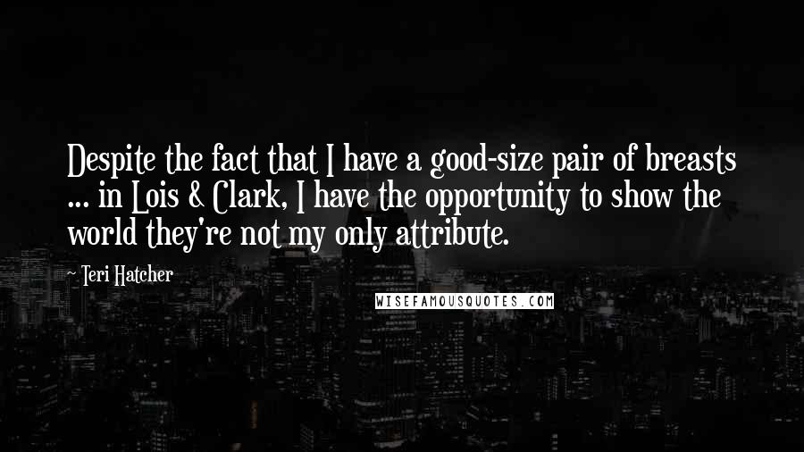 Teri Hatcher Quotes: Despite the fact that I have a good-size pair of breasts ... in Lois & Clark, I have the opportunity to show the world they're not my only attribute.