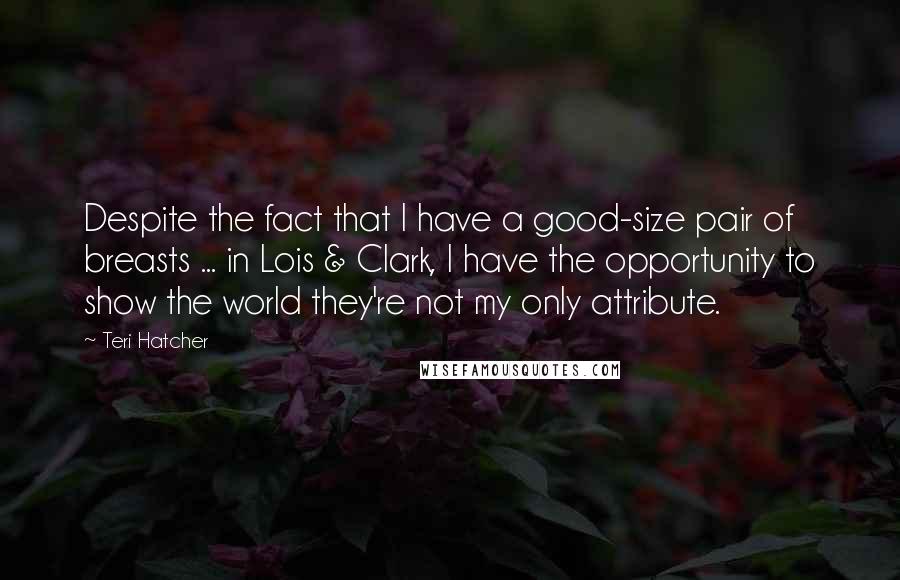 Teri Hatcher Quotes: Despite the fact that I have a good-size pair of breasts ... in Lois & Clark, I have the opportunity to show the world they're not my only attribute.