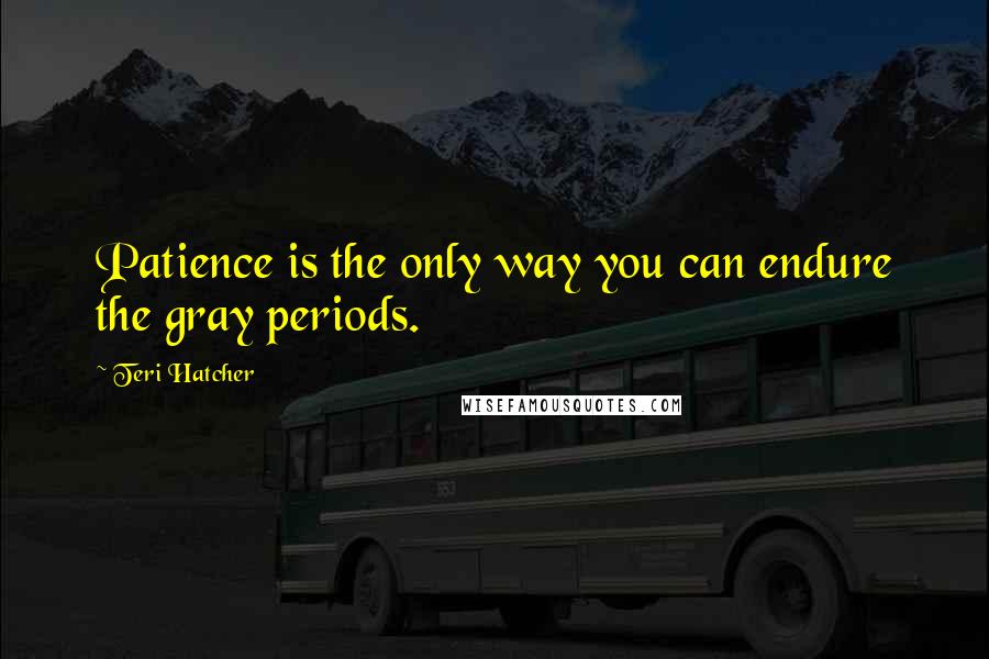 Teri Hatcher Quotes: Patience is the only way you can endure the gray periods.