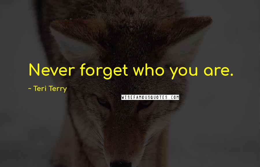 Teri Terry Quotes: Never forget who you are.