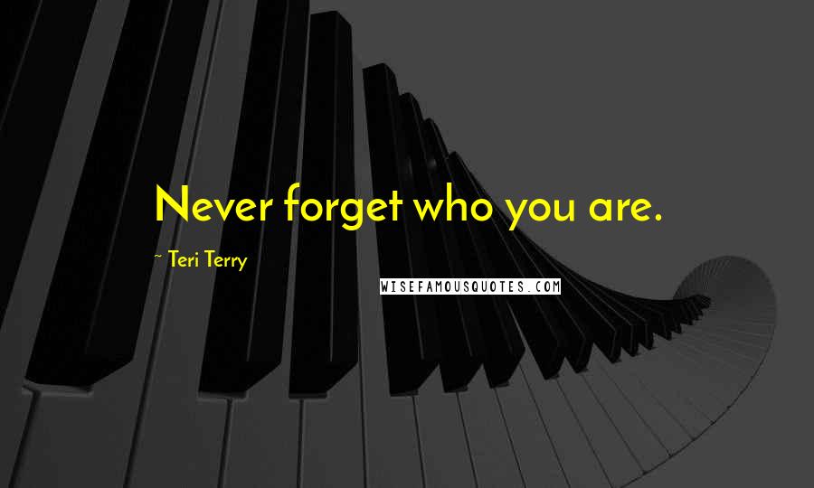 Teri Terry Quotes: Never forget who you are.