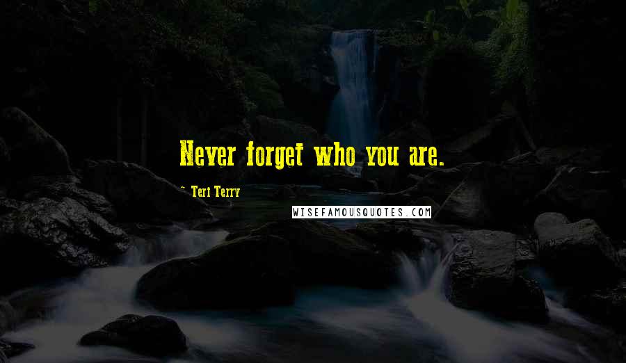 Teri Terry Quotes: Never forget who you are.