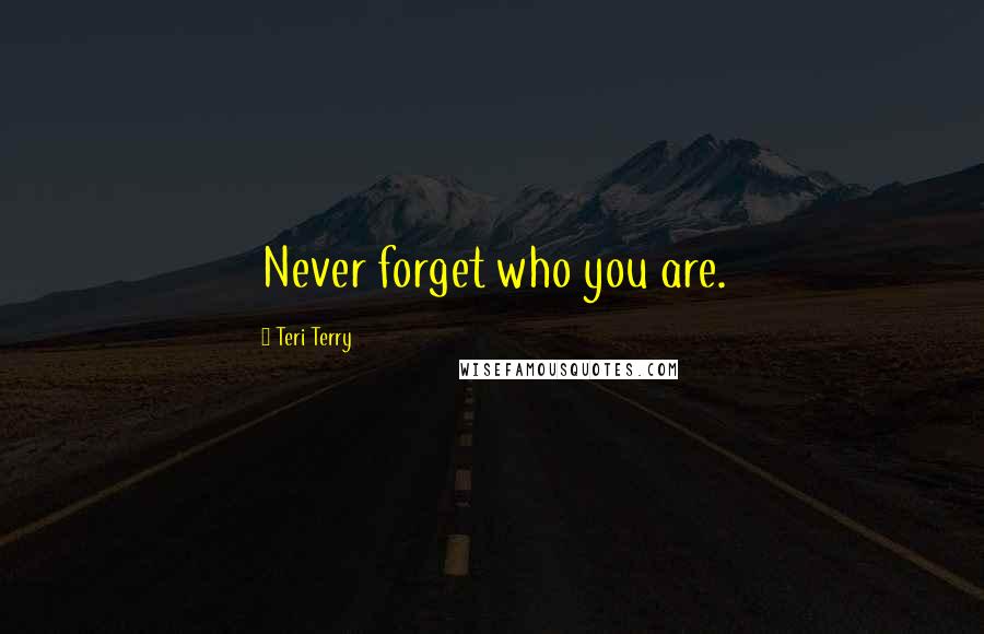Teri Terry Quotes: Never forget who you are.