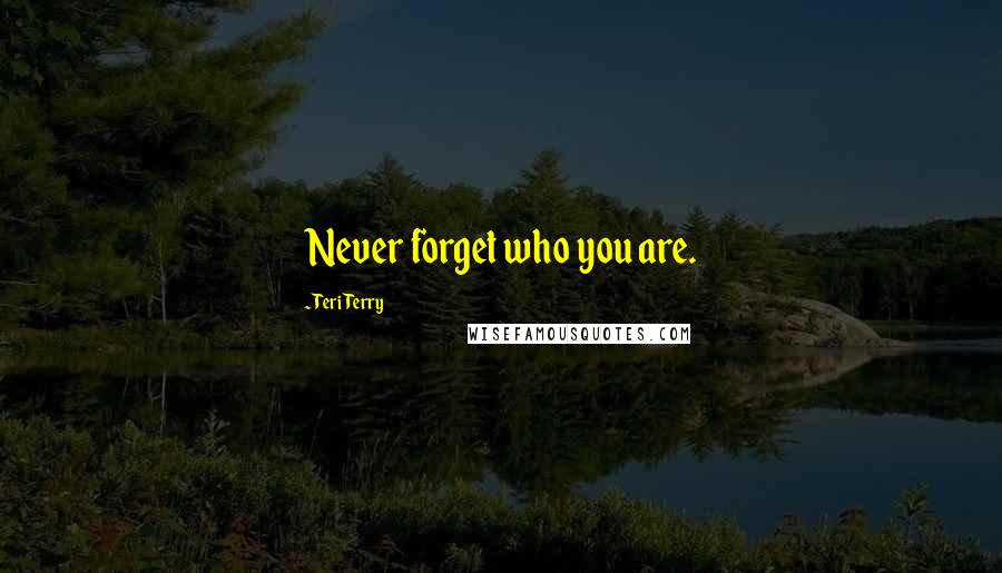 Teri Terry Quotes: Never forget who you are.
