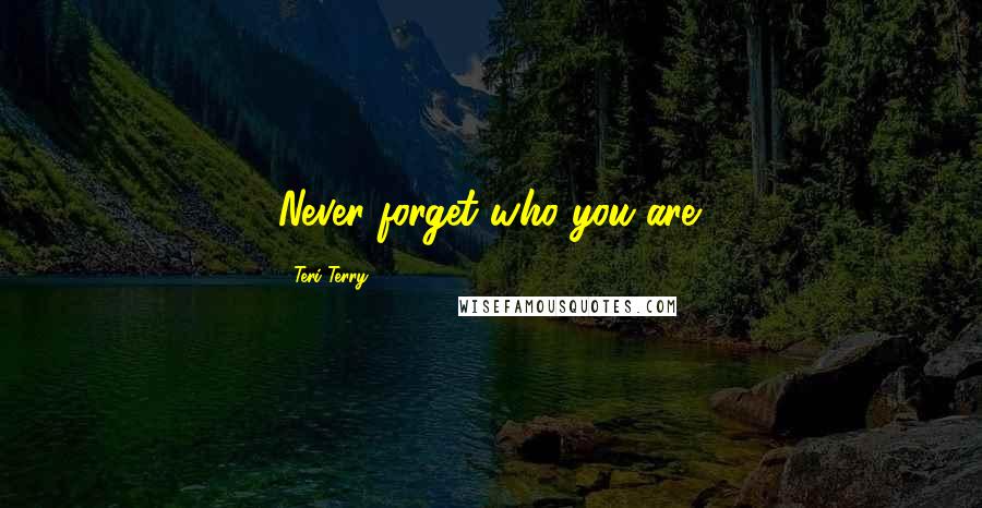 Teri Terry Quotes: Never forget who you are.