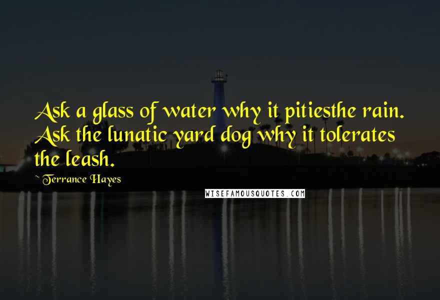 Terrance Hayes Quotes: Ask a glass of water why it pitiesthe rain. Ask the lunatic yard dog why it tolerates the leash.