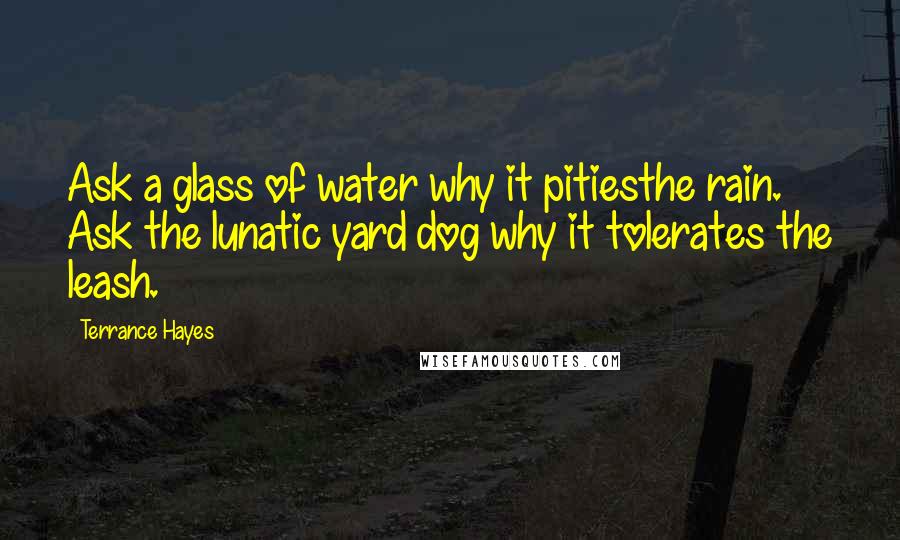 Terrance Hayes Quotes: Ask a glass of water why it pitiesthe rain. Ask the lunatic yard dog why it tolerates the leash.
