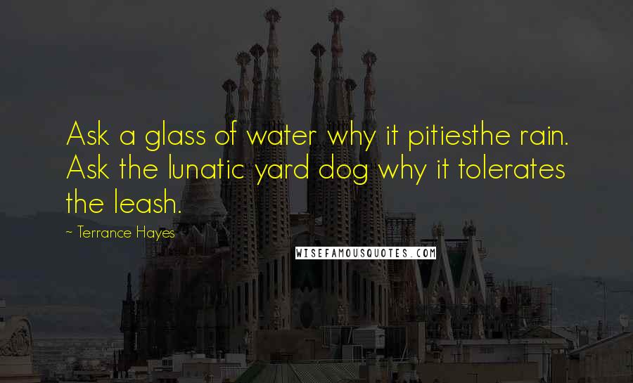 Terrance Hayes Quotes: Ask a glass of water why it pitiesthe rain. Ask the lunatic yard dog why it tolerates the leash.