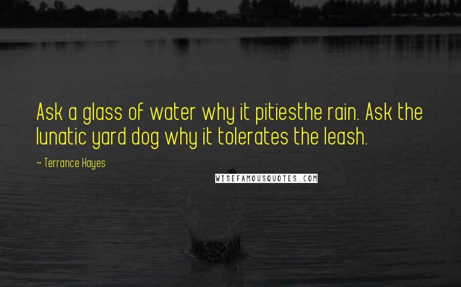 Terrance Hayes Quotes: Ask a glass of water why it pitiesthe rain. Ask the lunatic yard dog why it tolerates the leash.
