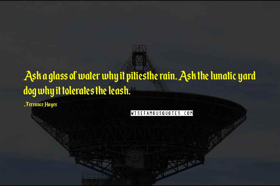 Terrance Hayes Quotes: Ask a glass of water why it pitiesthe rain. Ask the lunatic yard dog why it tolerates the leash.