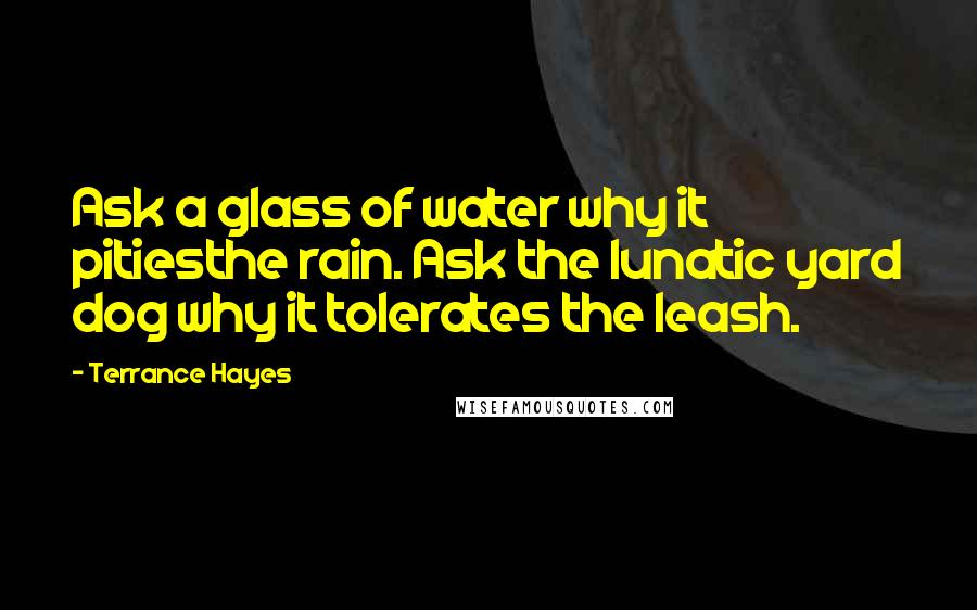 Terrance Hayes Quotes: Ask a glass of water why it pitiesthe rain. Ask the lunatic yard dog why it tolerates the leash.