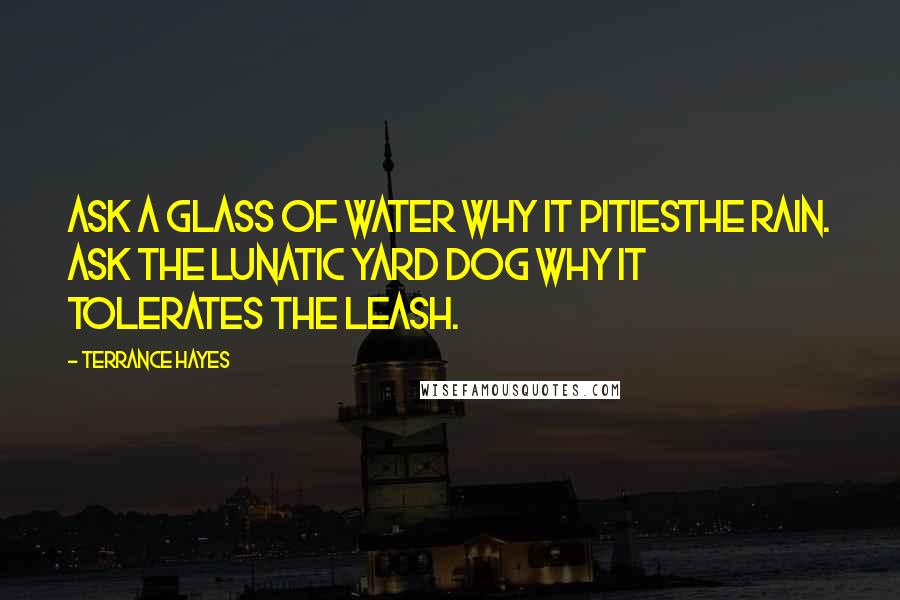 Terrance Hayes Quotes: Ask a glass of water why it pitiesthe rain. Ask the lunatic yard dog why it tolerates the leash.