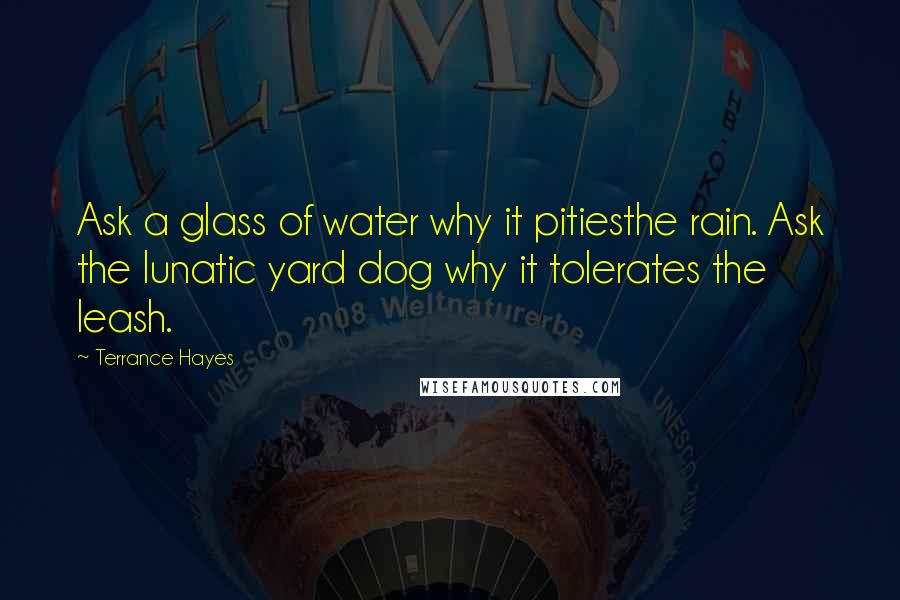 Terrance Hayes Quotes: Ask a glass of water why it pitiesthe rain. Ask the lunatic yard dog why it tolerates the leash.