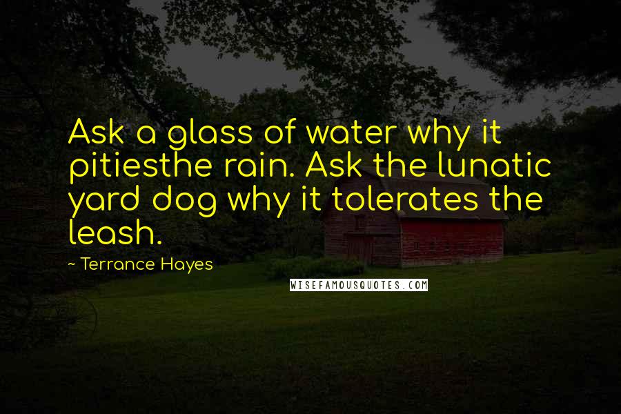 Terrance Hayes Quotes: Ask a glass of water why it pitiesthe rain. Ask the lunatic yard dog why it tolerates the leash.