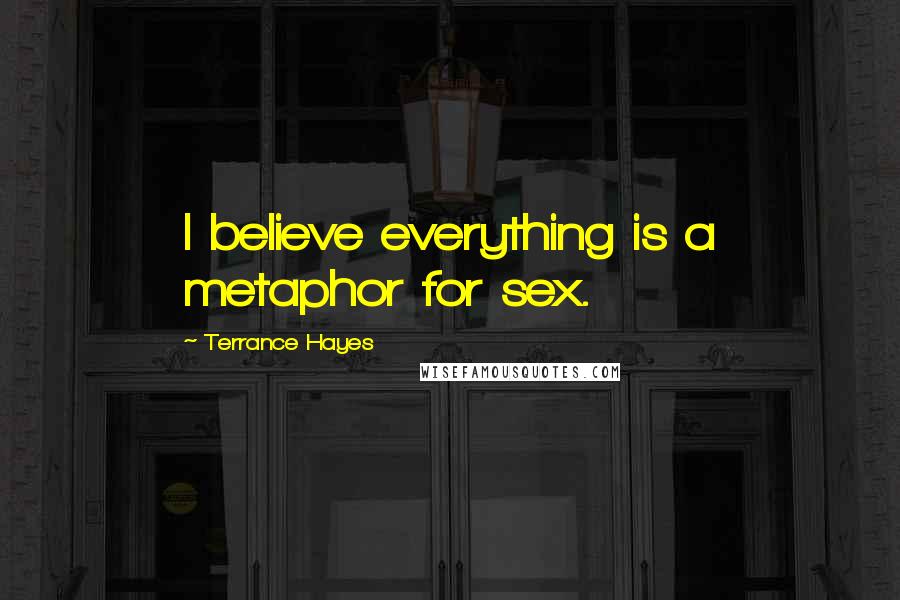 Terrance Hayes Quotes: I believe everything is a metaphor for sex.