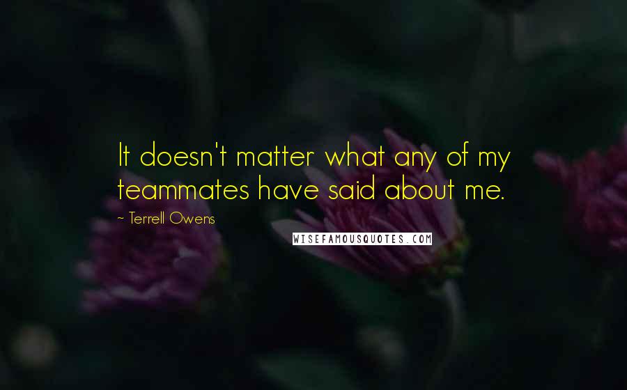 Terrell Owens Quotes: It doesn't matter what any of my teammates have said about me.