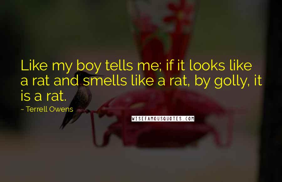 Terrell Owens Quotes: Like my boy tells me; if it looks like a rat and smells like a rat, by golly, it is a rat.