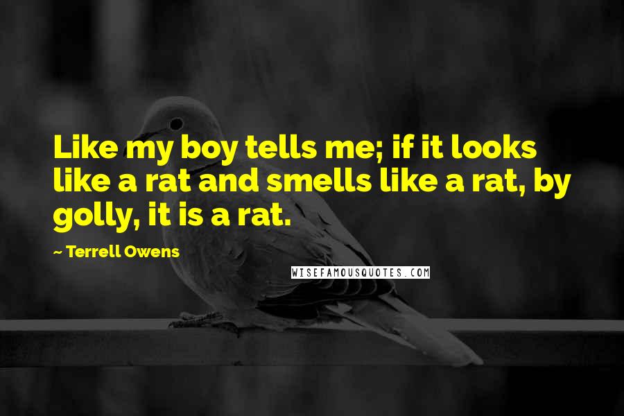 Terrell Owens Quotes: Like my boy tells me; if it looks like a rat and smells like a rat, by golly, it is a rat.