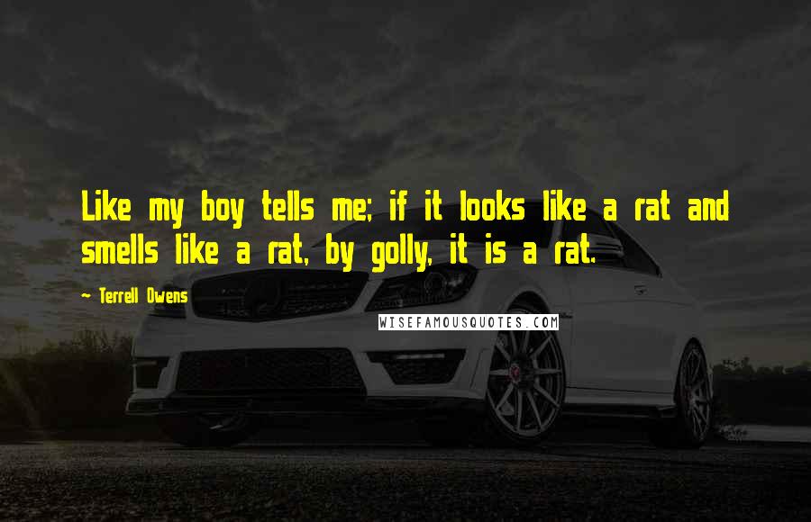 Terrell Owens Quotes: Like my boy tells me; if it looks like a rat and smells like a rat, by golly, it is a rat.