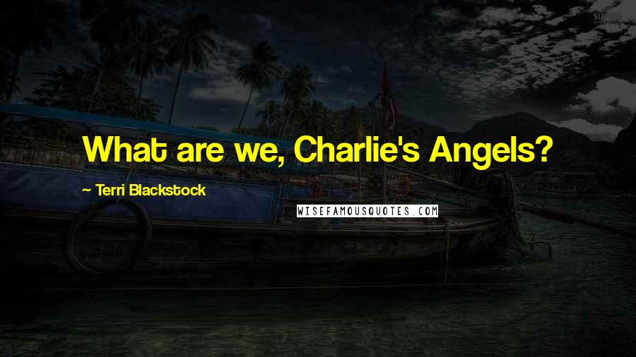 Terri Blackstock Quotes: What are we, Charlie's Angels?