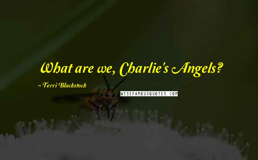 Terri Blackstock Quotes: What are we, Charlie's Angels?