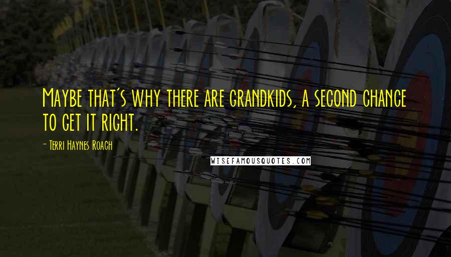 Terri Haynes Roach Quotes: Maybe that's why there are grandkids, a second chance to get it right.