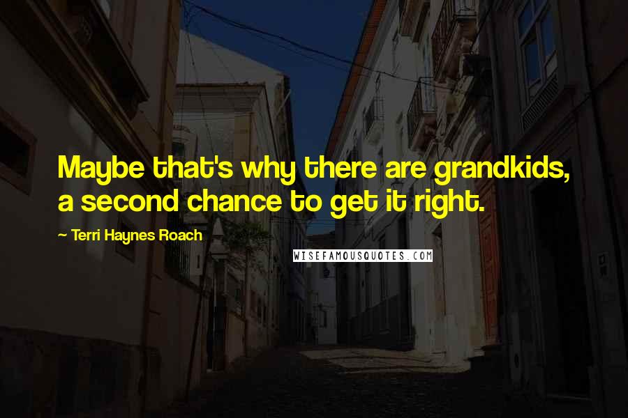 Terri Haynes Roach Quotes: Maybe that's why there are grandkids, a second chance to get it right.