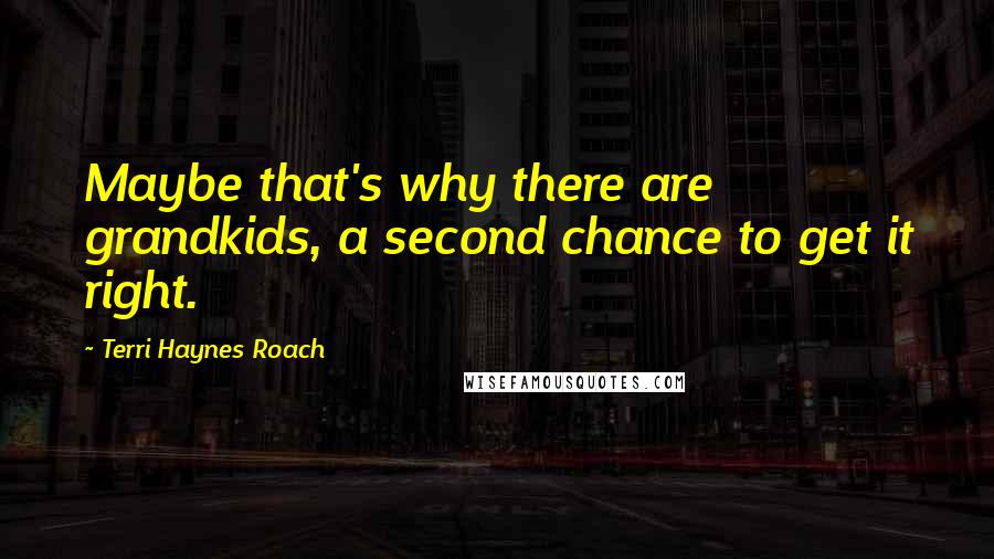 Terri Haynes Roach Quotes: Maybe that's why there are grandkids, a second chance to get it right.