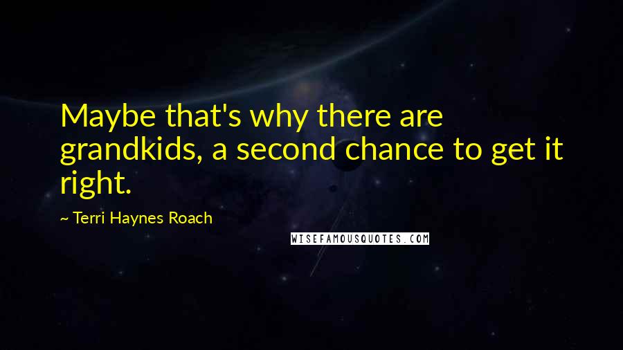 Terri Haynes Roach Quotes: Maybe that's why there are grandkids, a second chance to get it right.