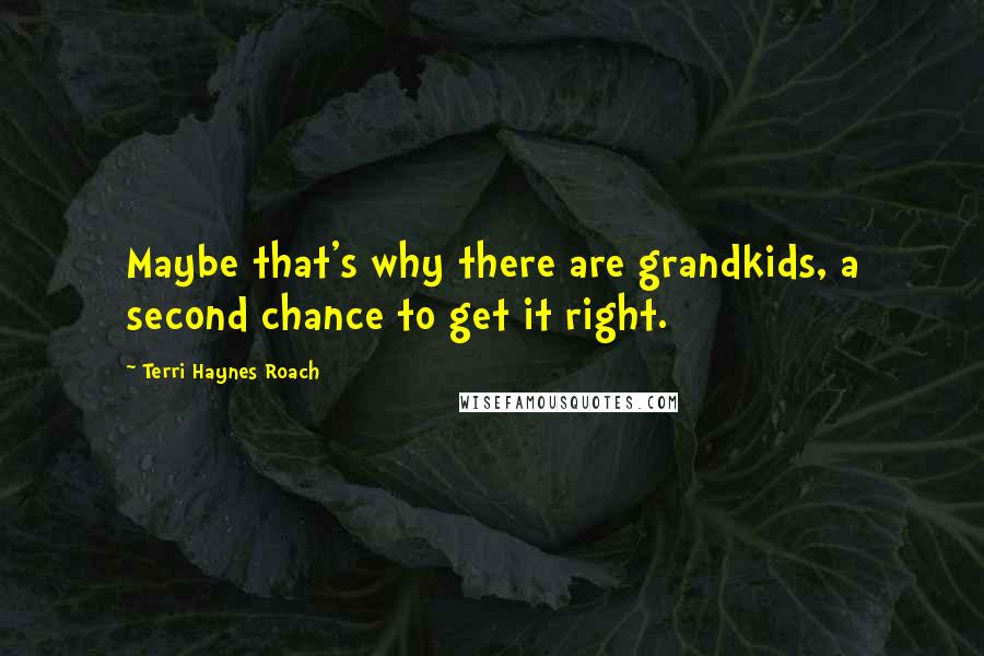 Terri Haynes Roach Quotes: Maybe that's why there are grandkids, a second chance to get it right.