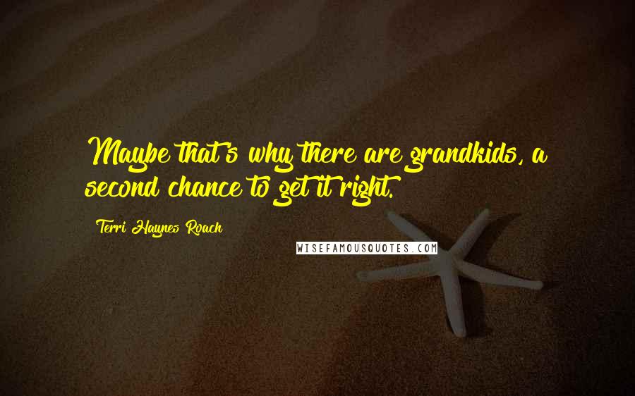 Terri Haynes Roach Quotes: Maybe that's why there are grandkids, a second chance to get it right.