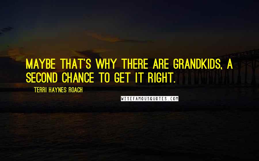 Terri Haynes Roach Quotes: Maybe that's why there are grandkids, a second chance to get it right.