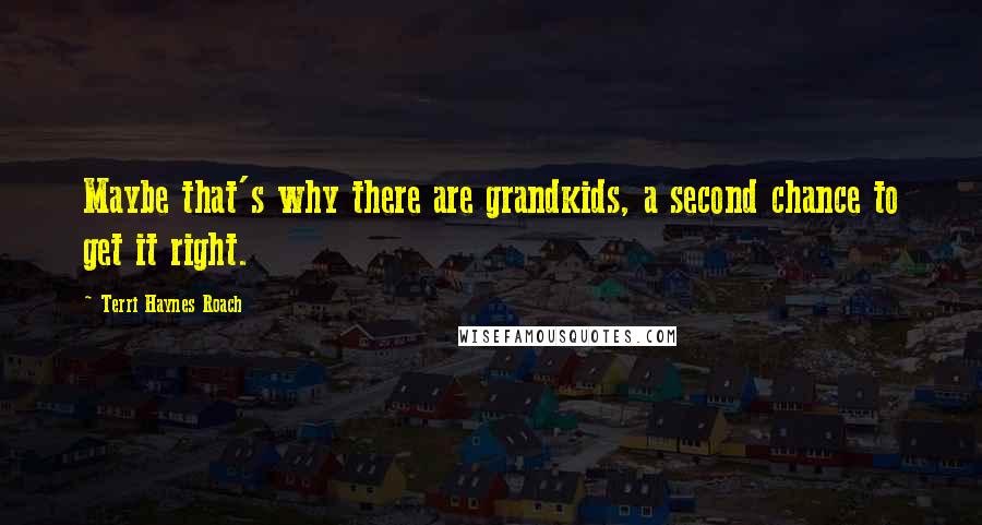 Terri Haynes Roach Quotes: Maybe that's why there are grandkids, a second chance to get it right.