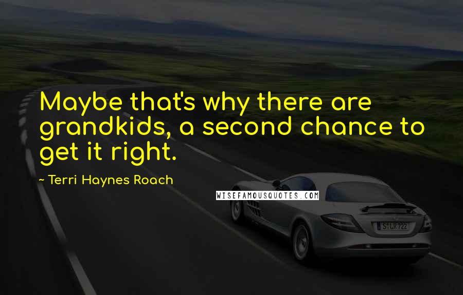 Terri Haynes Roach Quotes: Maybe that's why there are grandkids, a second chance to get it right.