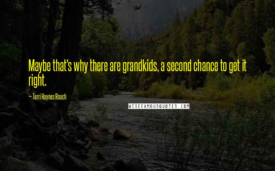 Terri Haynes Roach Quotes: Maybe that's why there are grandkids, a second chance to get it right.