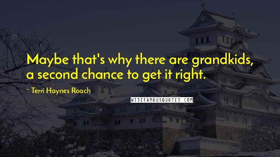 Terri Haynes Roach Quotes: Maybe that's why there are grandkids, a second chance to get it right.